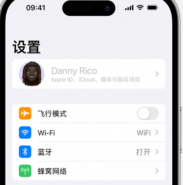 大竹appleID维修服务iPhone设置中Apple ID显示为灰色无法使用 