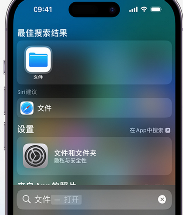 大竹apple维修中心分享iPhone文件应用中存储和找到下载文件 