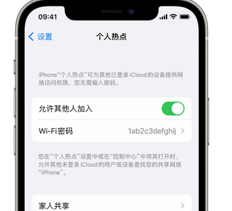 大竹apple服务站点分享iPhone上个人热点丢失了怎么办 