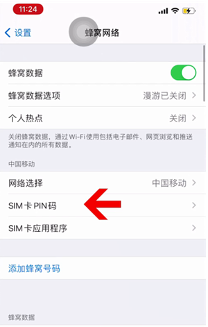 大竹苹果14维修网分享如何给iPhone14的SIM卡设置密码 