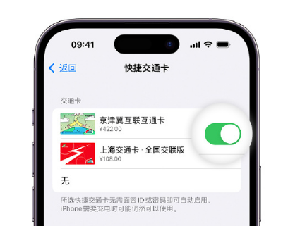 大竹apple维修点分享iPhone上更换Apple Pay快捷交通卡手绘卡面 