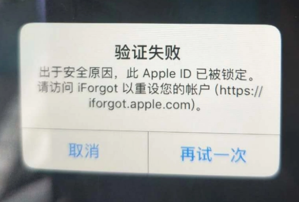 大竹iPhone维修分享iPhone上正常登录或使用AppleID怎么办 