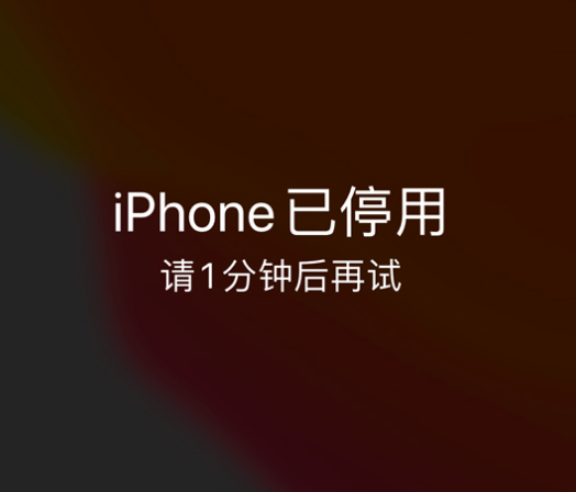 大竹苹果手机维修分享:iPhone 显示“不可用”或“已停用”怎么办？还能保留数据吗？ 