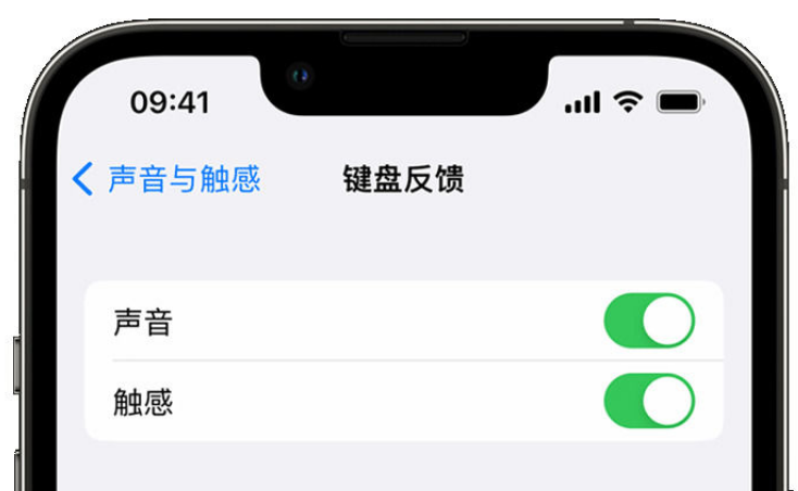 大竹苹果手机维修分享iPhone 14触感键盘使用方法 