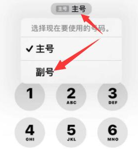 大竹苹果14维修店分享iPhone 14 Pro Max使用副卡打电话的方法 