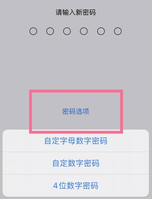 大竹苹果14维修分享iPhone 14plus设置密码的方法 