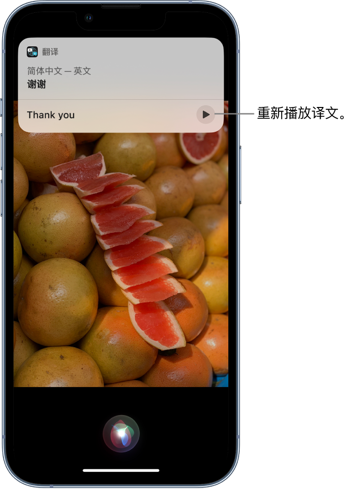 大竹苹果14维修分享 iPhone 14 机型中使用 Siri：了解 Siri 能帮你做什么 