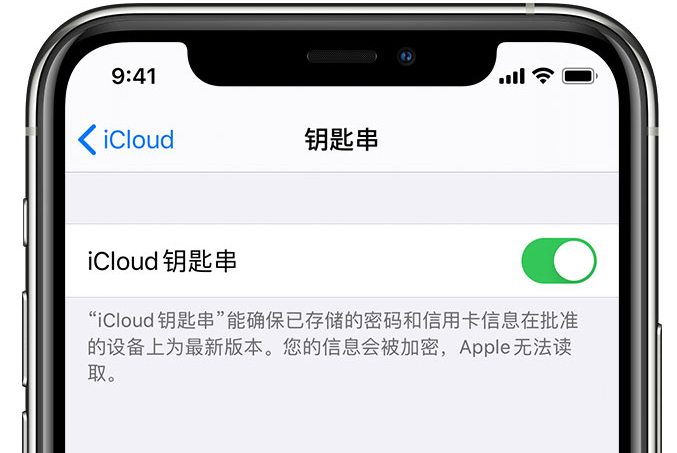 大竹苹果手机维修分享在 iPhone 上开启 iCloud 钥匙串之后会储存哪些信息 