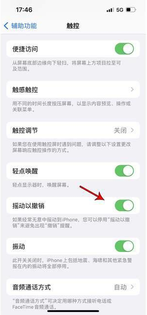 大竹苹果手机维修分享iPhone手机如何设置摇一摇删除文字 