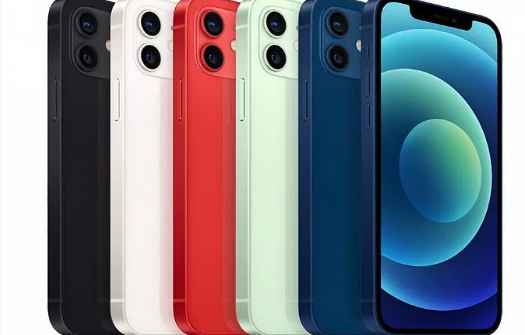 大竹苹果维修点分享iPhone12 Pro Max进水维修 